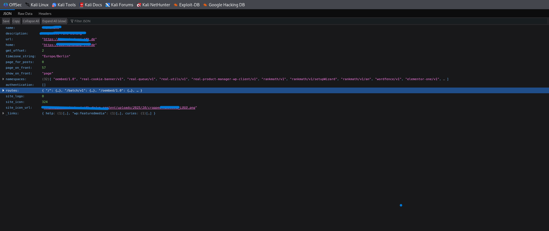 Geschwärzter Pentest Workflow
